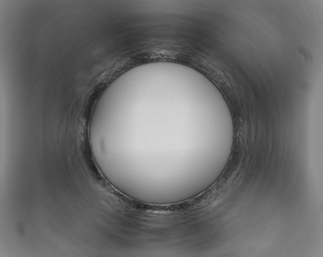 X0000111860649200907231131