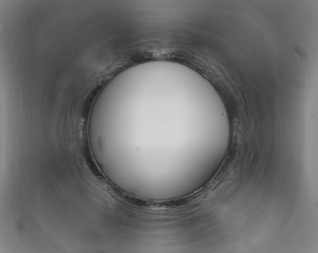 X0000111860650200907231131