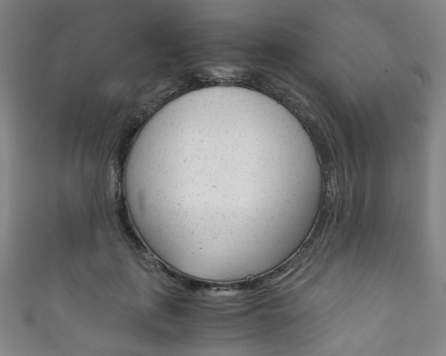 X0000111860651200907231131