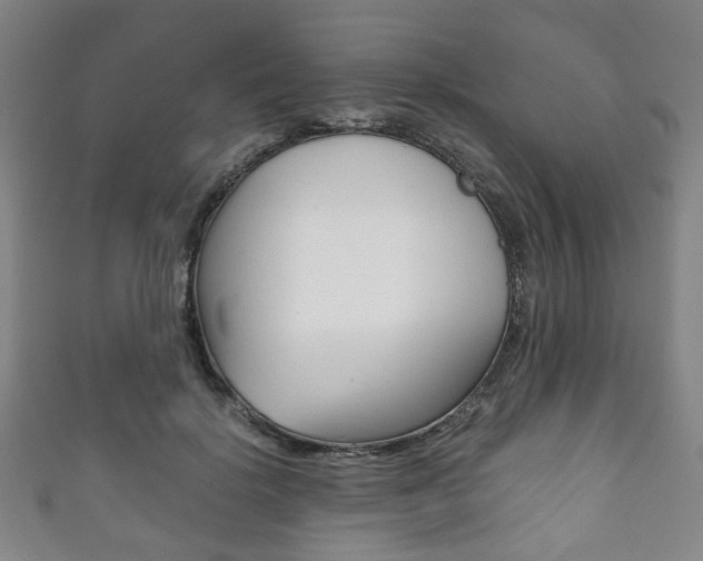 X0000111860652200907231131