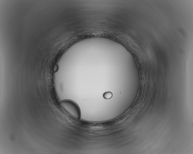 X0000111860653200907231132