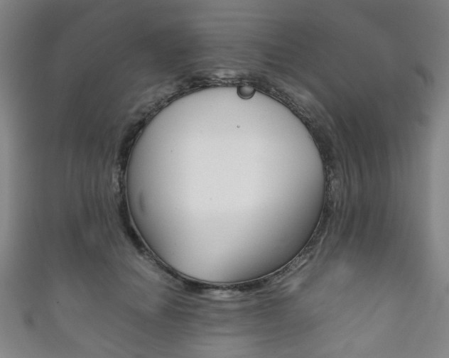 X0000111860654200907231132