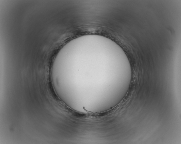 X0000111860656200907231132