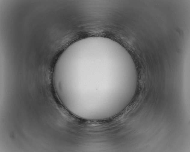 X0000111860658200907231132