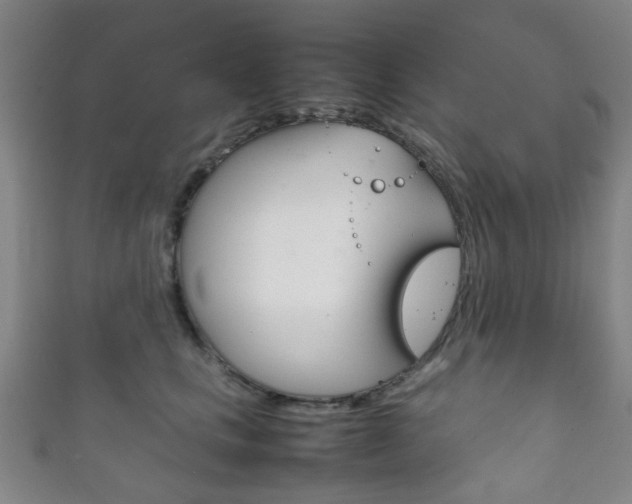 X0000111860661200907231132