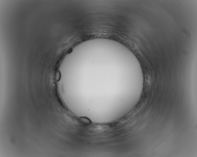 X0000111860663200907231132