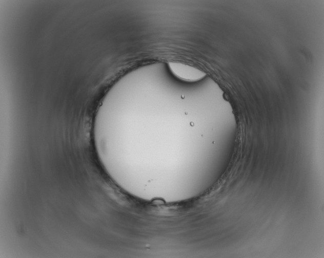 X0000111860664200907231132