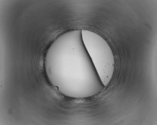 X0000111860668200907231132
