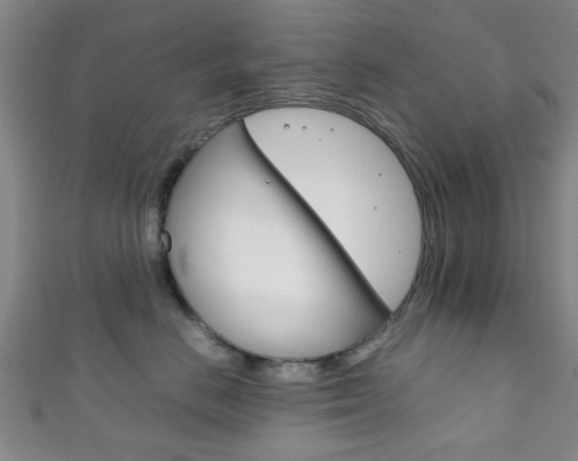 X0000111860670200907231132