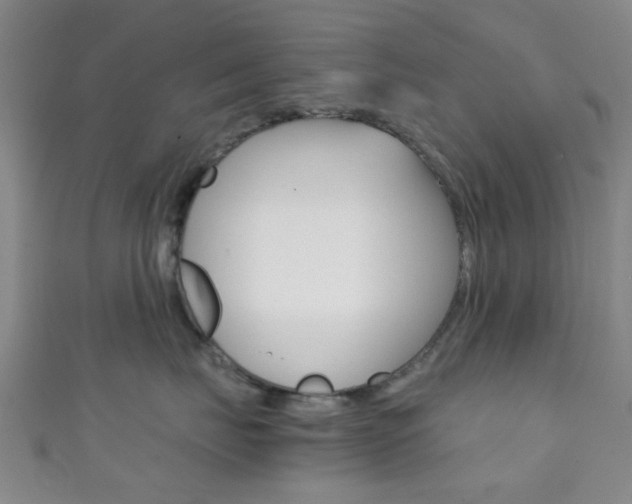 X0000111860671200907231132