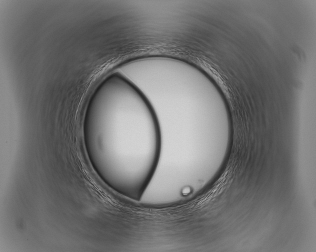 X0000111860673200907231131