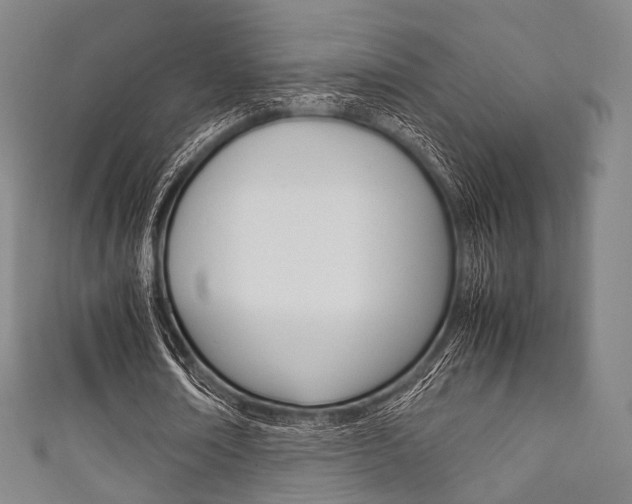 X0000111860674200907231131