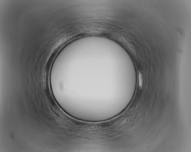 X0000111860675200907231131