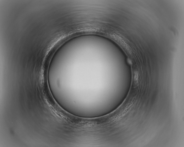 X0000111860676200907231131