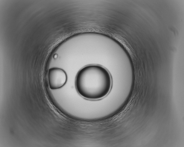 X0000111860677200907231131