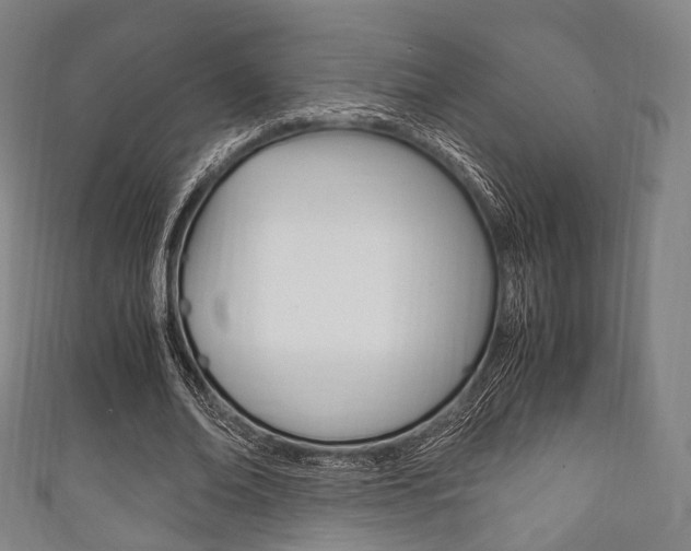 X0000111860678200907231131