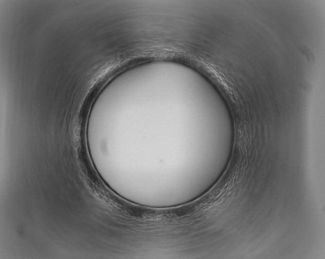 X0000111860679200907231131