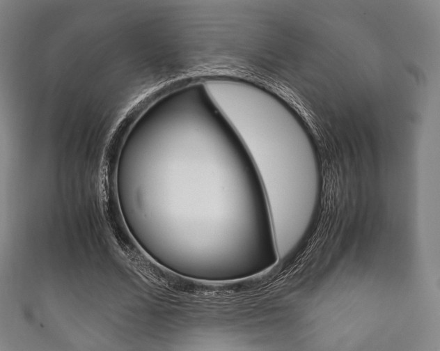 X0000111860680200907231131