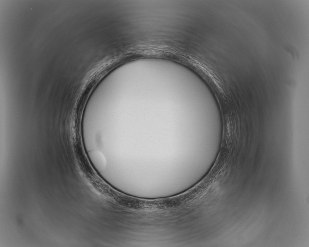 X0000111860682200907231131
