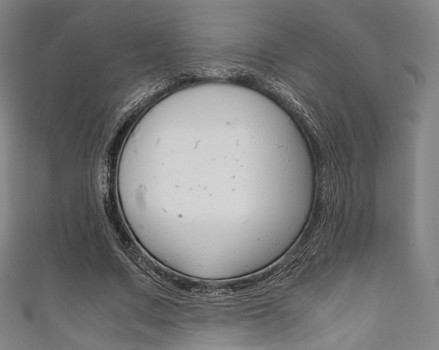 X0000111860683200907231131