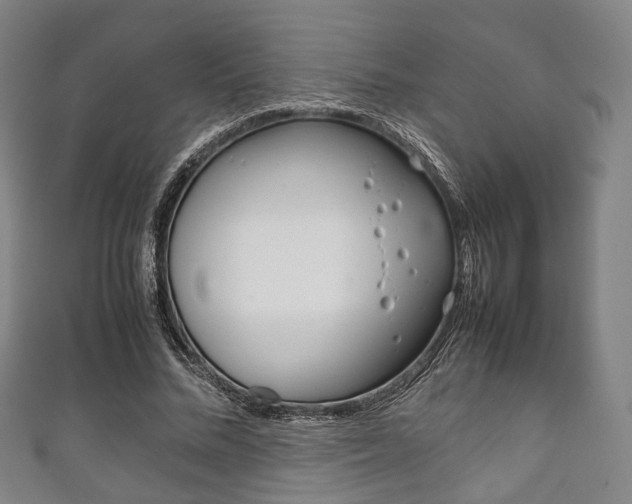 X0000111860684200907231131