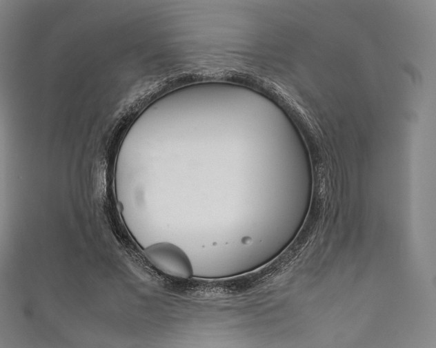 X0000111860685200907231131