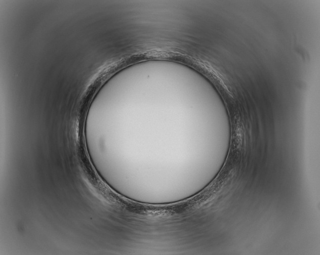X0000111860686200907231131