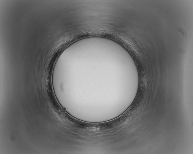 X0000111860687200907231131