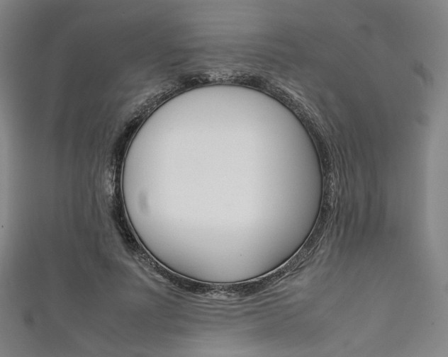 X0000111860691200907231131