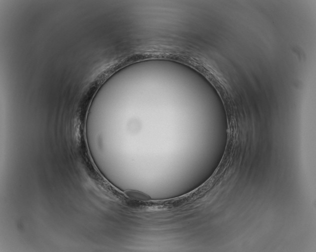 X0000111860692200907231131