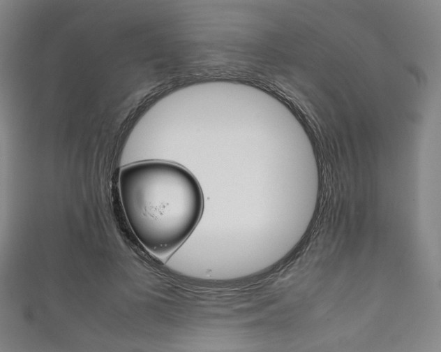 X0000111860693200907231131