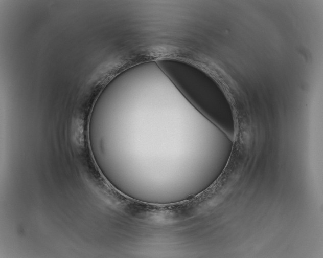 X0000111860696200907231131