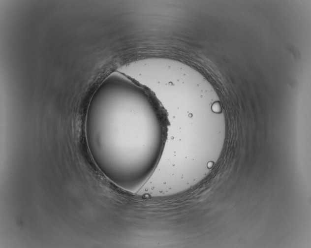 X0000111860697200907231131