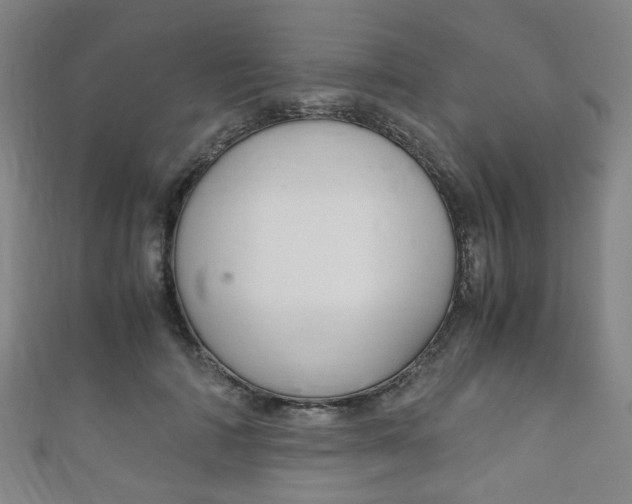 X0000111860698200907231131