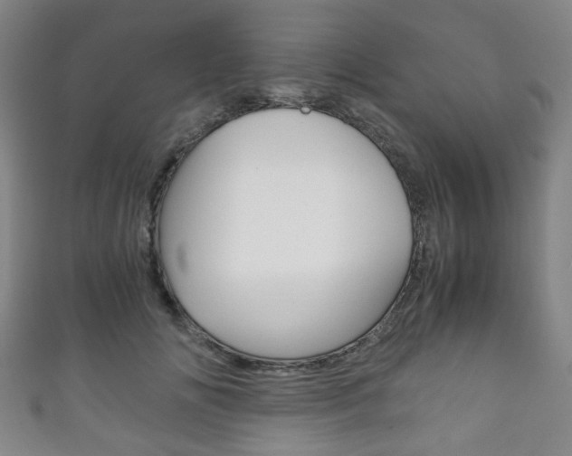 X0000111860702200907231131