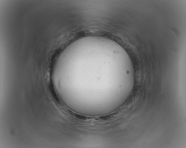 X0000111860703200907231131