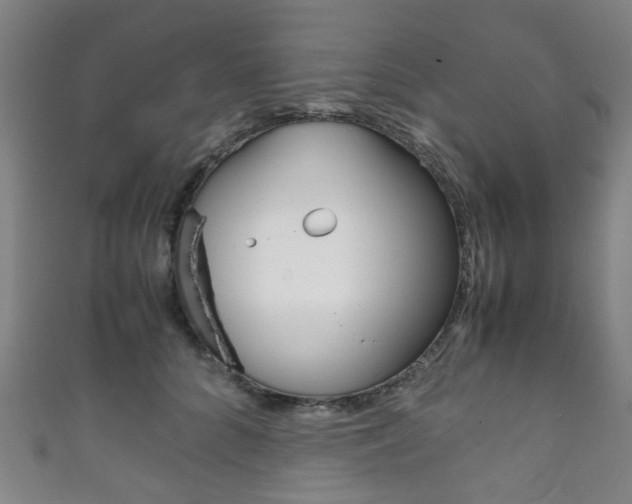 X0000111860704200907231131