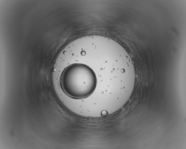 X0000111860708200907231131
