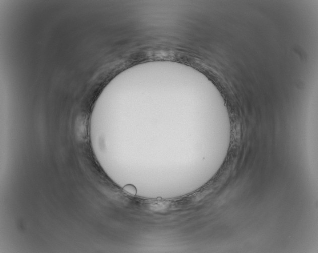 X0000111860709200907231131