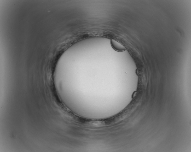 X0000111860711200907231131