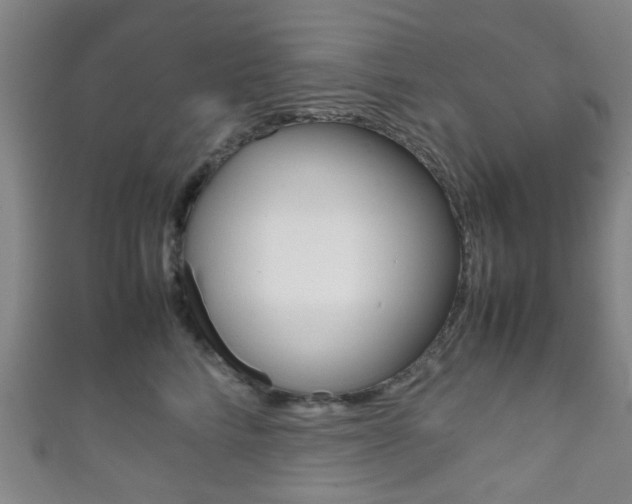 X0000111860712200907231131