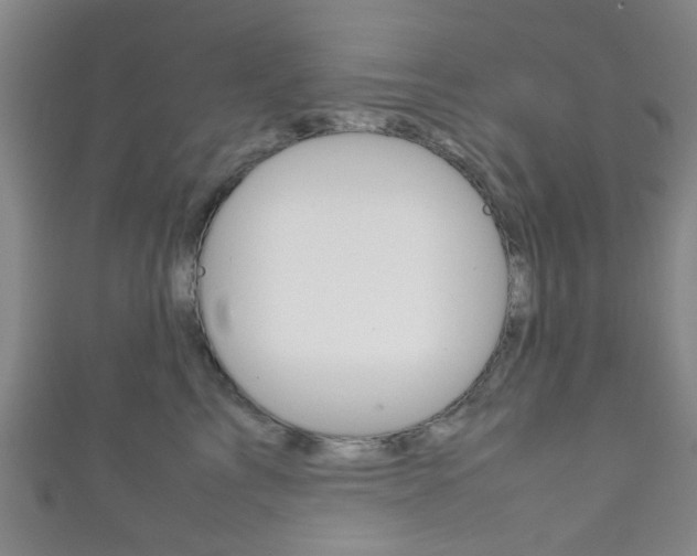 X0000111860713200907231131