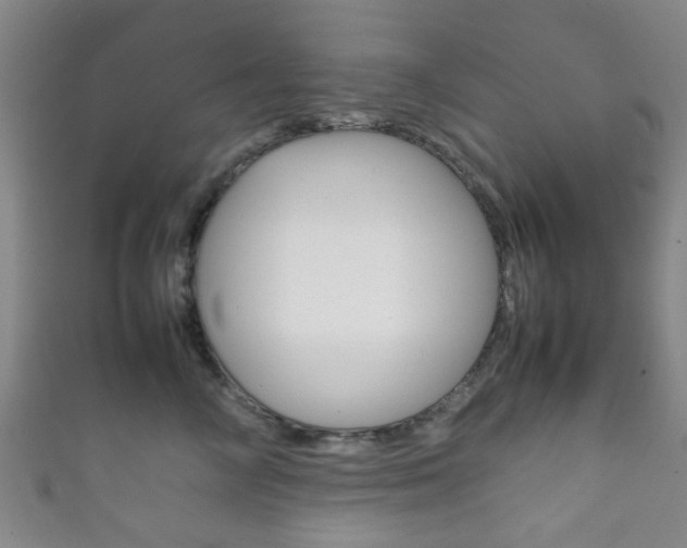 X0000111860714200907231131