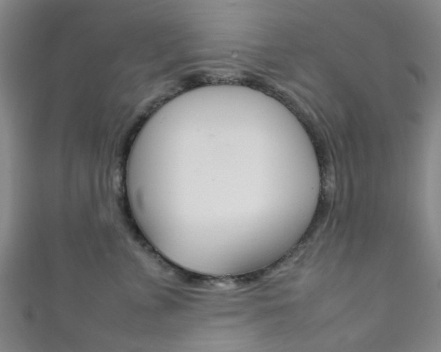 X0000111860715200907231131