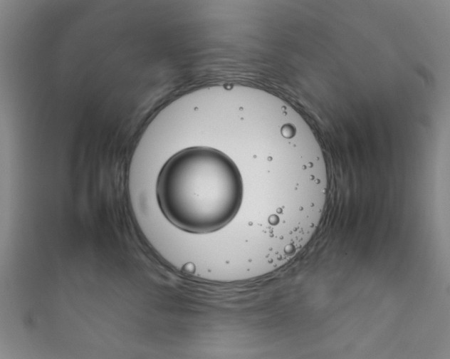 X0000111860716200907231131