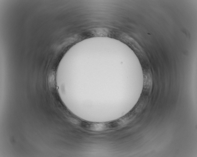 X0000111860717200907231131