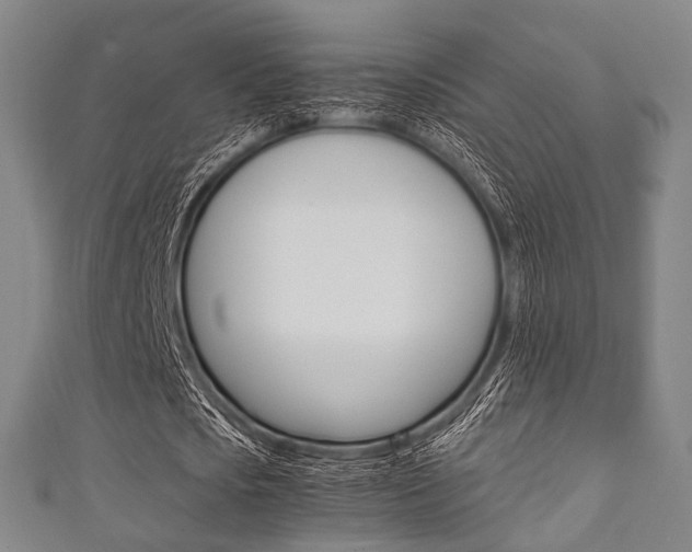 X0000111860721200907231130