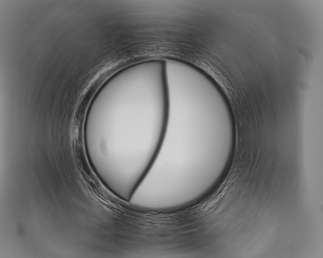 X0000111860723200907231130