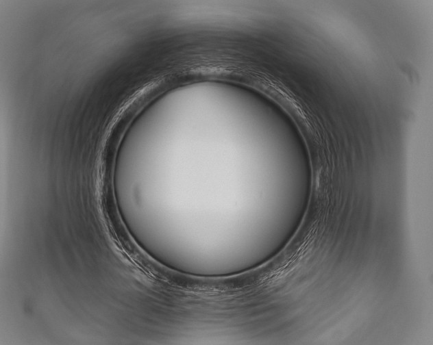 X0000111860724200907231130