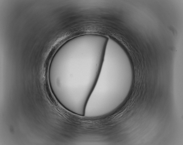 X0000111860727200907231130